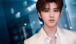 蔡徐坤母亲被爆料视频,揭秘明星家庭背后的故事